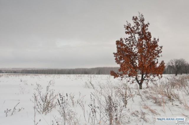 Россия в фотографиях, первая половина 2012
