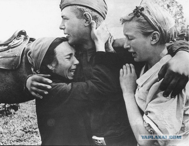 Самые трогательные фотографии войны