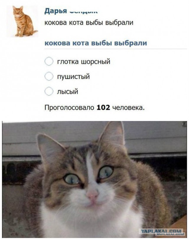 Главная проблема цитат в интернете.