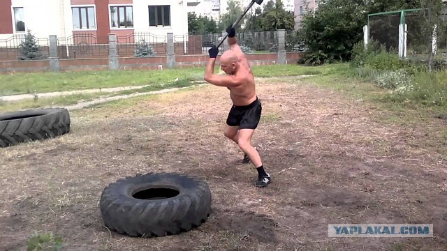 Солнце еще высоко