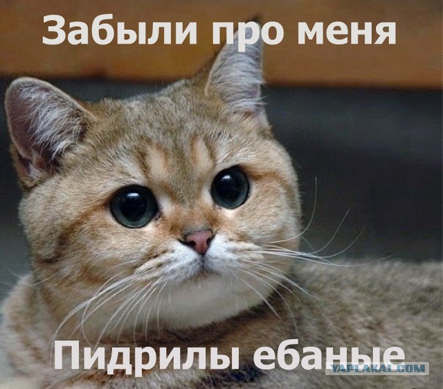 Мемы вспоминаем и добавляем....