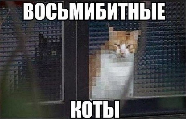 Восьмибитный кот