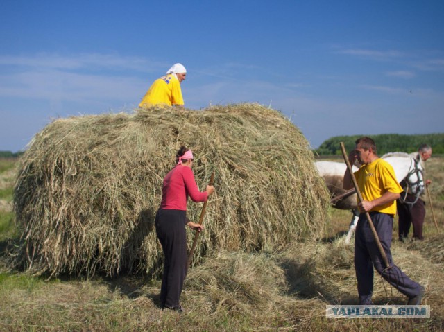 Подборка "тёплых, уютных, домашних" фотографий. Часть 2