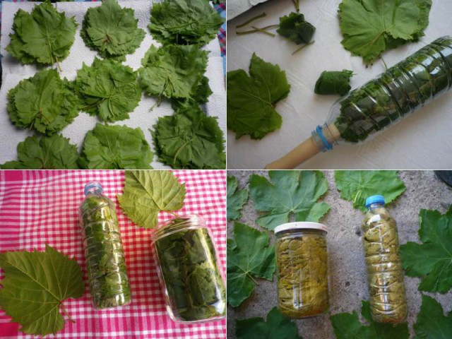 Кухня (кулинарное и околокулинарное общение)