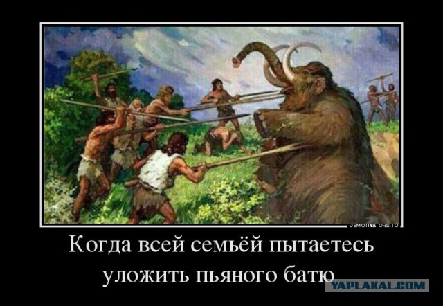 Веселые картинки и не только!