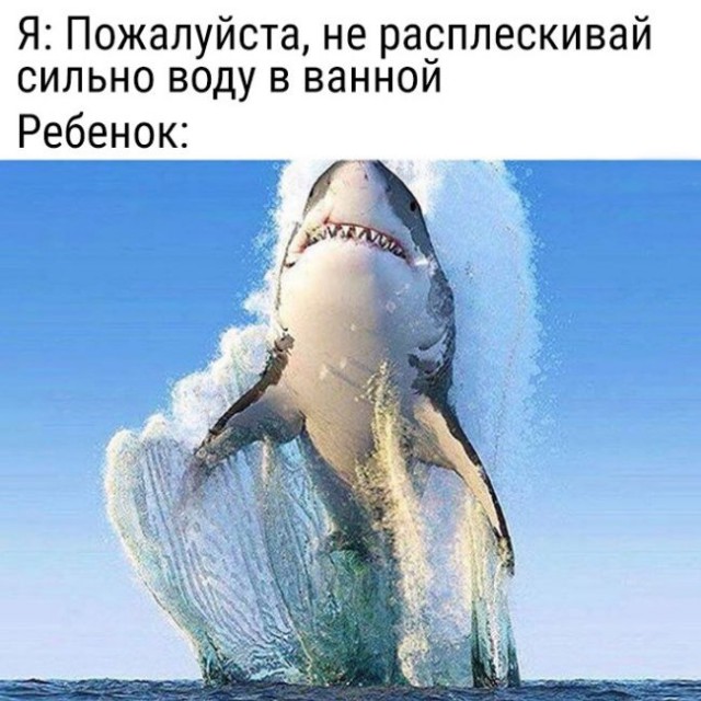 Подборка интересных и веселых картинок