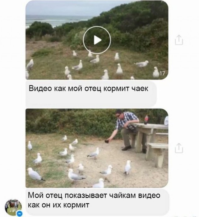 Ужасы и приколы из соцсетей 18+