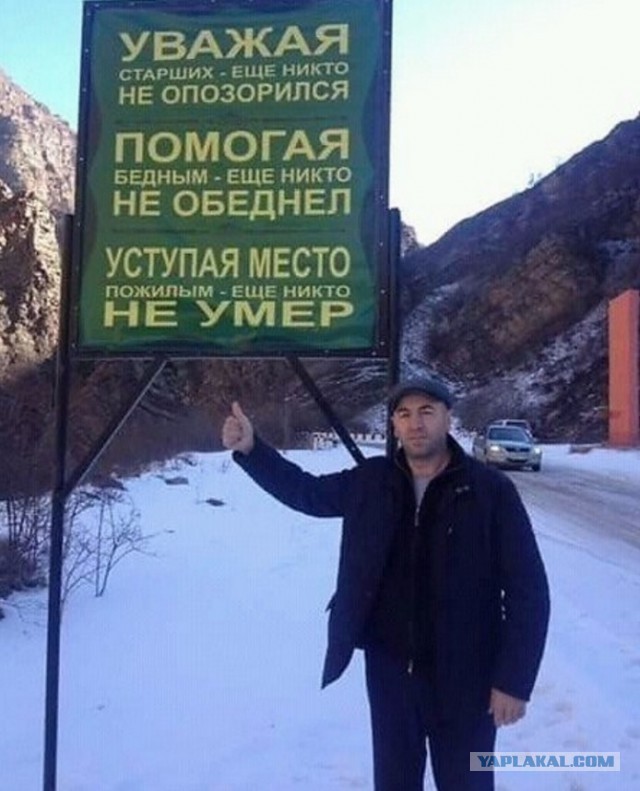 Подборка интересных и веселых картинок