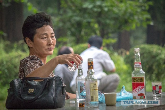 Пламенный репортаж телевидения КНДР о начале священной войны с американскими сумасбродами