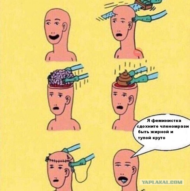 Отправил феминистку в нокаут