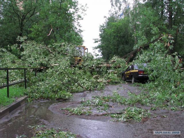 Последствия урагана