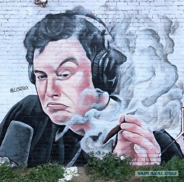 И даже шторм не помеха. Или это "рай для бобров"?