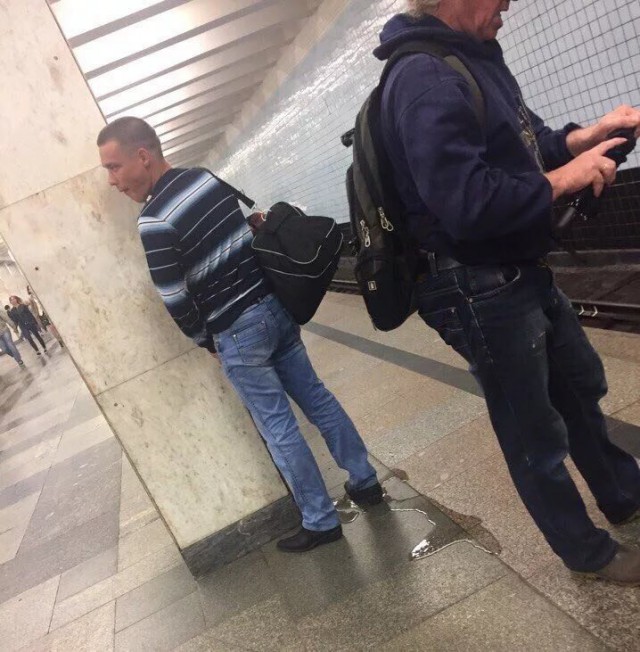 Послушайте меня, собачатники!