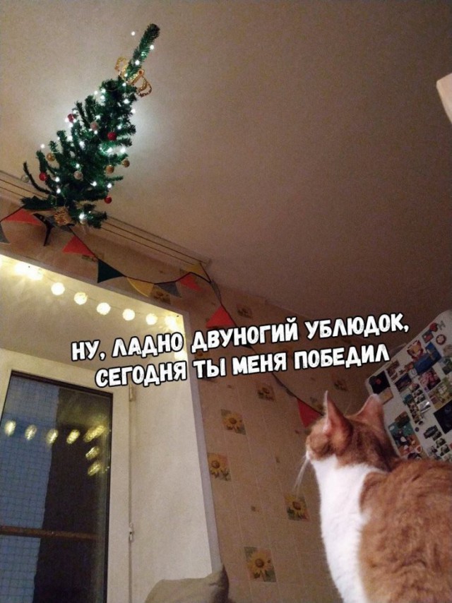 Немного картинок для настроения