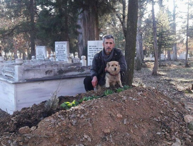 Сердце мужчины было разбито, когда он узнал, куда ежедневно убегает его питомец