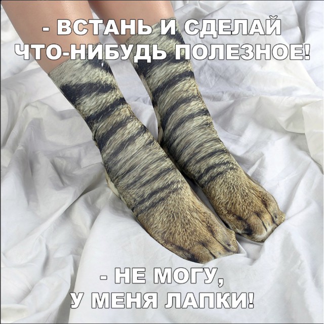 Нестандартный юмор