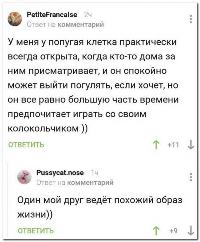 Дурацкие картинки