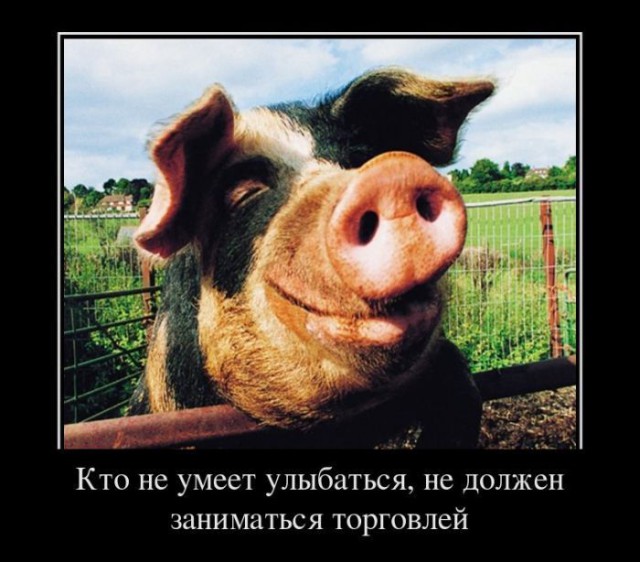 Давным-давно такое называлось ДЕМОТИВАТОРЫ