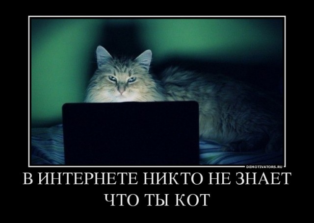 Сенатор Клишас призвал покончить с анонимностью в интернете