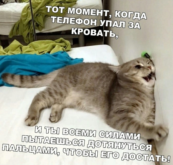 «Картинки разные нужны, картинки разные важны»