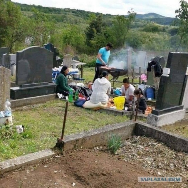 Сладких снов