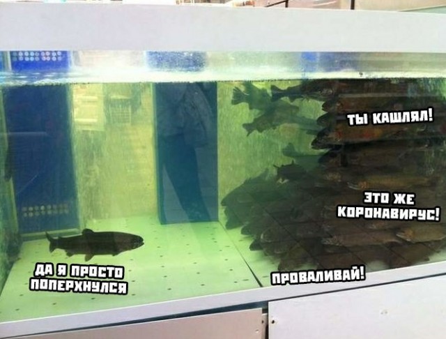 Бредзона 27.03.2020