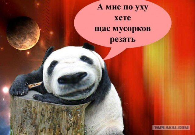 Фотожаба: Панда спалился!