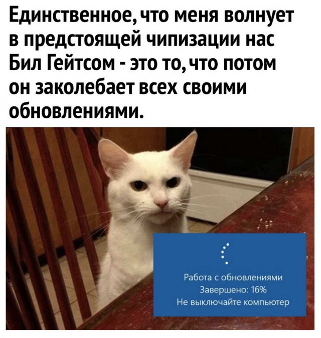 Бредзона 08.05.20