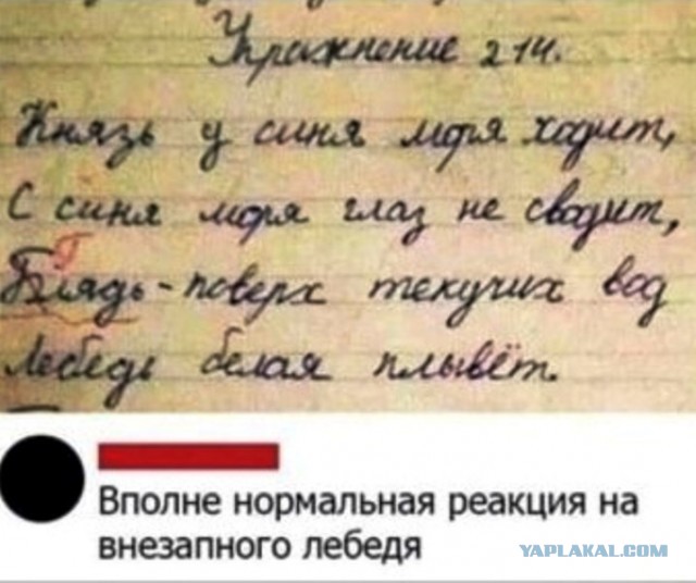Не очень адекватный юмор