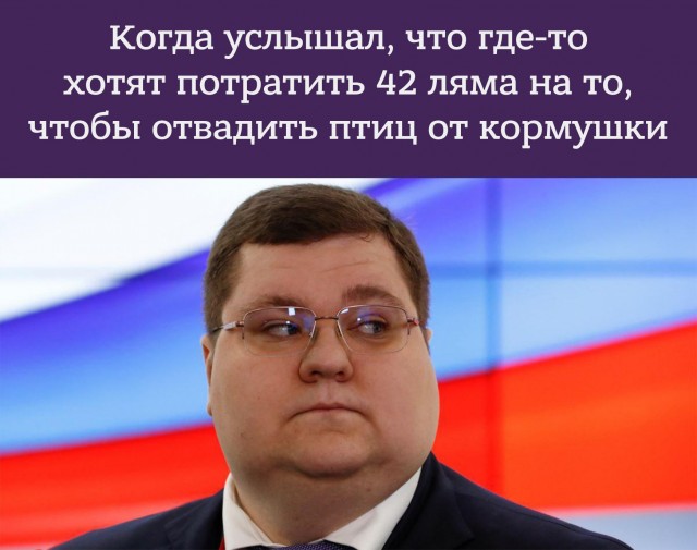 Правительство России планирует выделить 42,6 млн руб. на истребление ворон на крыше здания правительства.