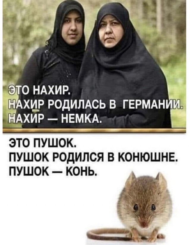 Бредзона 17.11.20