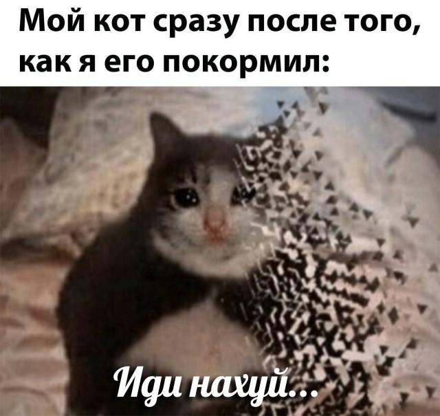 Бредзона 28.01.2021