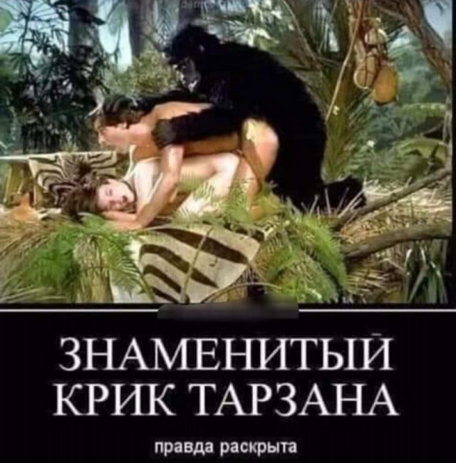 Картинки и мемы для настроения 008