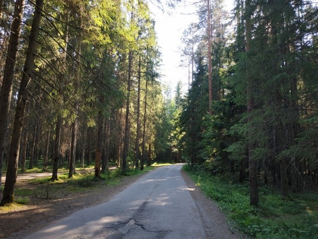 Жизнь и пивоварение