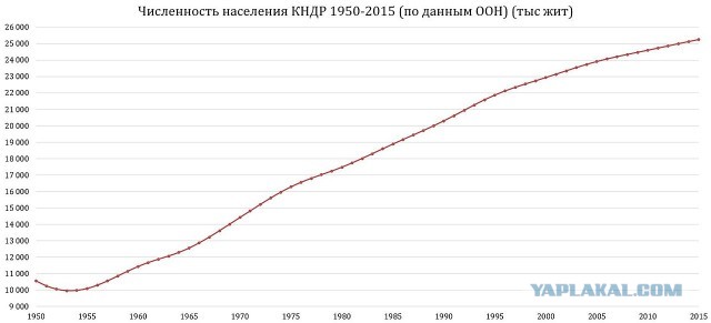 Актрису из Уссурийска, пародировавшую представителя МВД Ирину Волк, арестовали на 10 суток