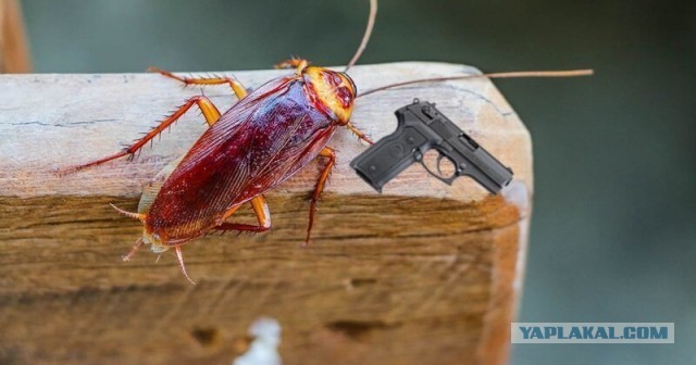 Вот так бывает...
