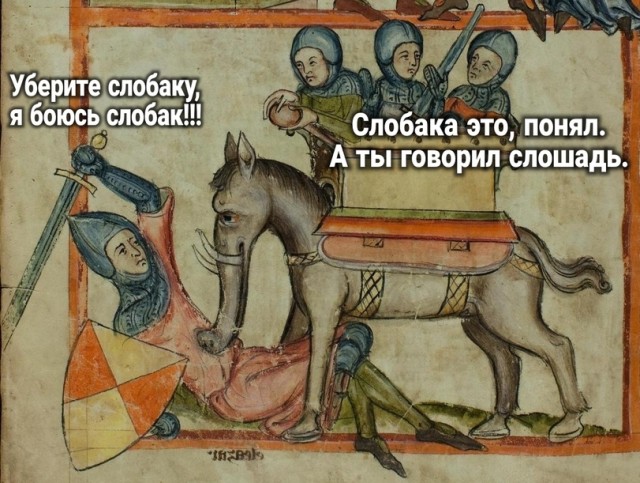 Всяческие картинки 10.12.2021