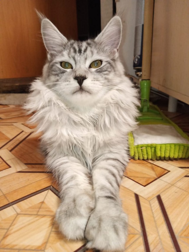 Вторник. Котэ. Пора