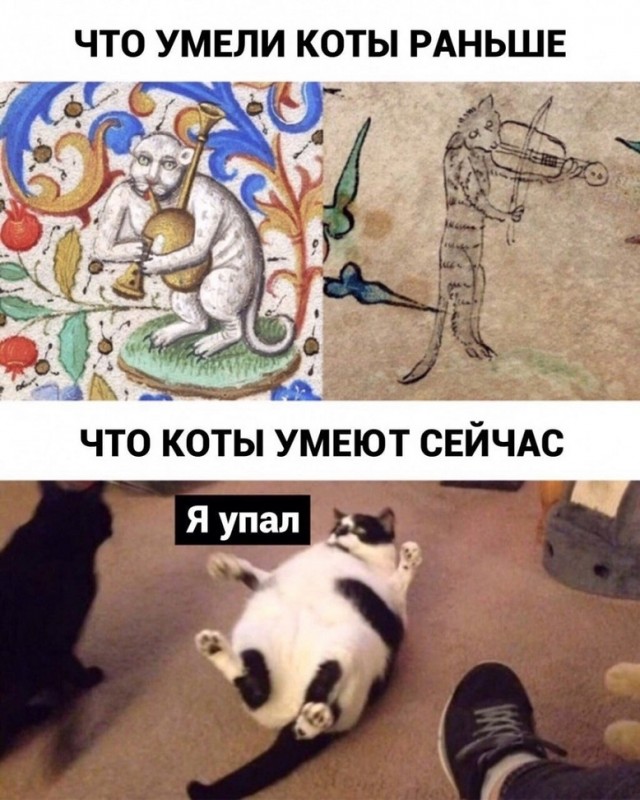 Так себе картинки 31.12.21