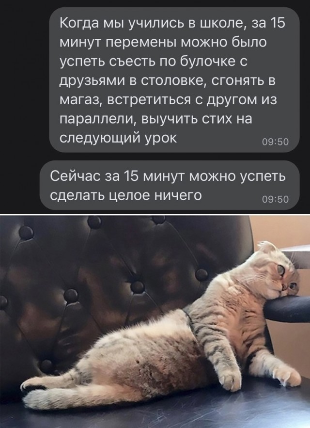 Разные картинки для настроения на любой вкус - 5