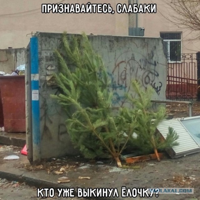 Утренняя подборка картинок и мемов - 3
