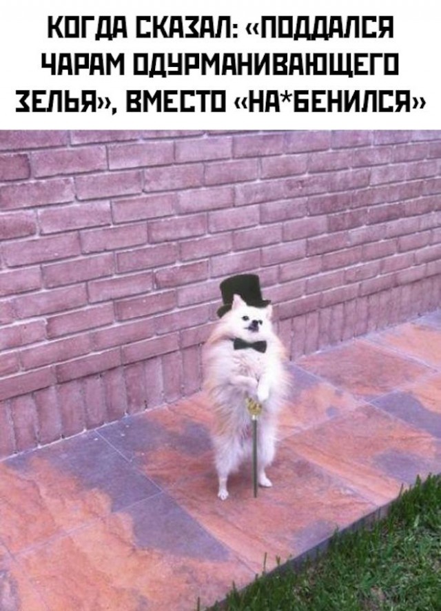 Картинки и мемы для настроения  -  9