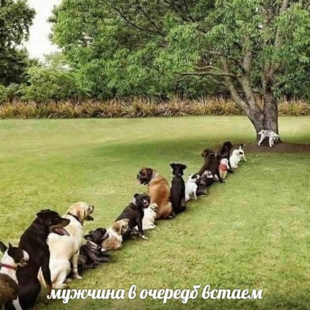 Так себе картинки 30.03.22