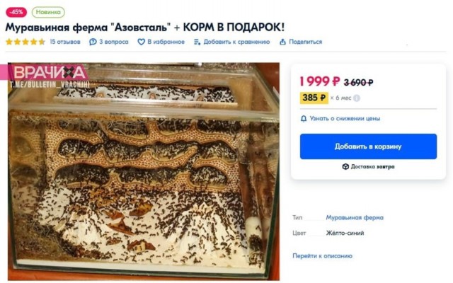 Весёлый полтишок 28.04.22