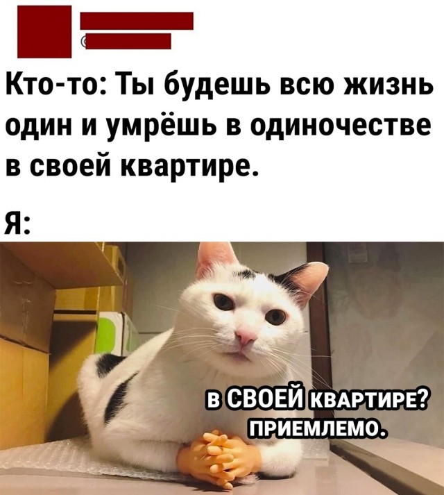 Так себе картинки 04.05.22