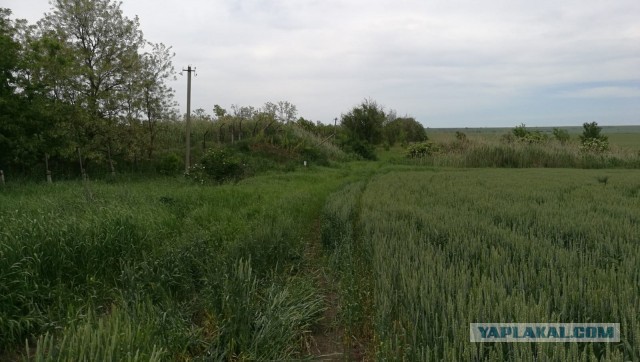 Реанимирование старичка