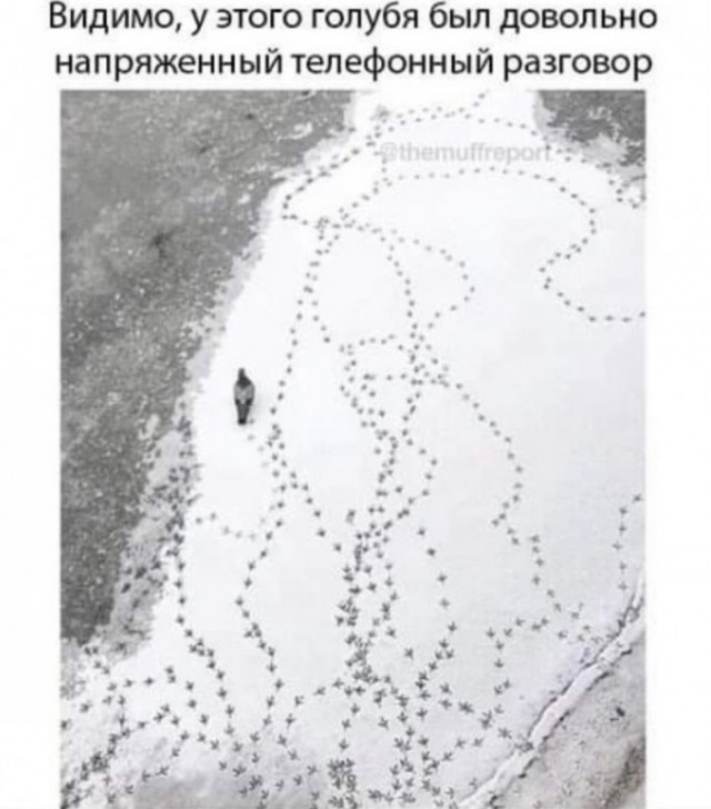 Картинки и мемы для настроения - 21