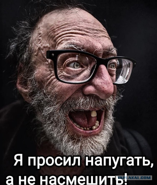 Весёлый полтишок 22.09.22