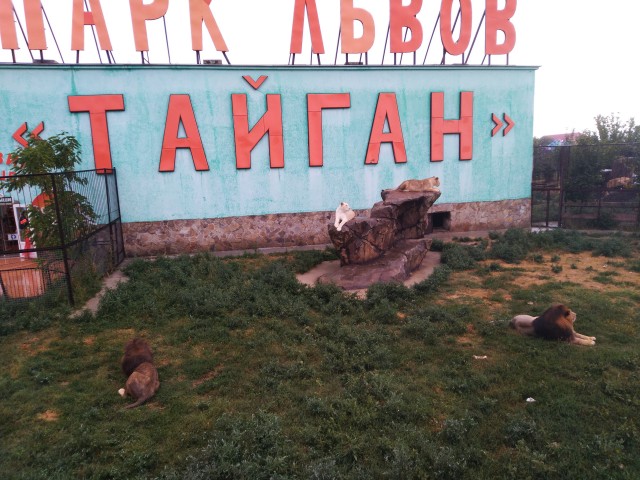 Апелляционная инстанция освободила из под стражи владельца парка Тайган Олега Зубкова