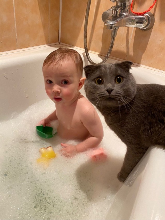 Растем с котом